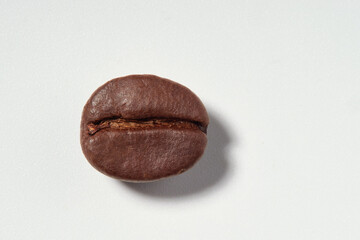 crop, flavor, aromatic, agriculture, mocha, cappuccino, gourmet, fresh, arabica, close-up, roasted, brown, coffee, bean, background, closeup, caffeine, drink, white, seed, aroma, ingredient, food, ene