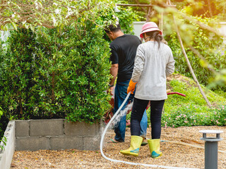 Back view of woman gardener wearing  hat in a garden watering hose splashing water on the lawn and...