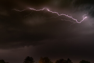 Lightning across a night sky between illumated clouds with tree tops on the lower edge of the...
