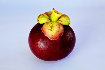 mangosteen - Garcinia mangostana. is a tropical fruit that is found in many Southeast Asian countries, including Indonesia. Mangosteen contains several nutrients with antioxidant capacity, such as vit