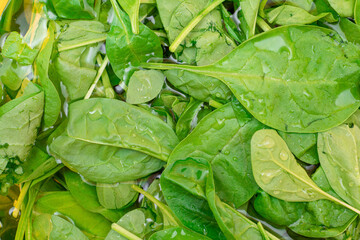 Fresh Baby Spinach Leaves in the Water - Top View. Vegan and Vegetarian Culture. Raw Food, Green Leaves. Healthy Diet