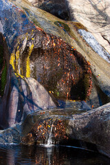 Rocky stream. Sequoia Park in California