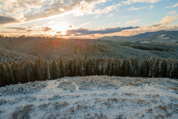 Winter landscape with spruse trees of snow covered forest in cold mountains.