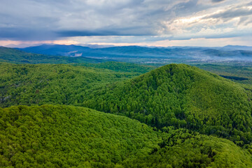 Fototapeta premium Aerial view of dark mountain hills covered with green mixed pine and lush forest in evening.