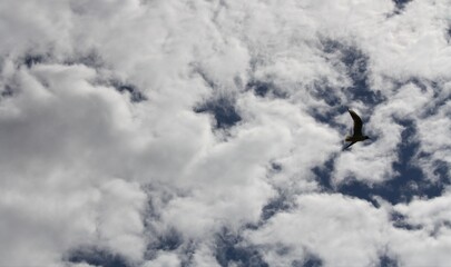 clouds in the sky