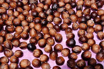 Nutmeg - Myristica fragrans. Nutmeg is a type of spice originating from the Maluku islands, Indonesia