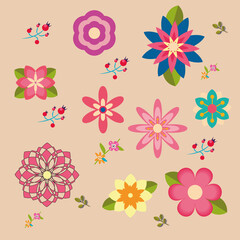 flower illustration