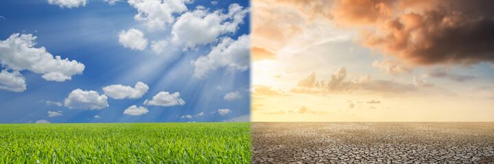 nvironment is divided into two parts. in part, there is a fertile environment And another part has...