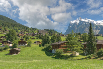 Fototapeta na wymiar Grindelwald mit Wetterhorn im Berner Oberland,Kanton Bern,Schweiz