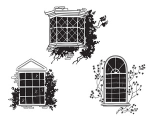 traditional english victorian windows, architectural detail vector sketch - 447523484