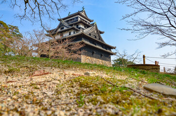 Fototapeta na wymiar Matsue Castle in Japan