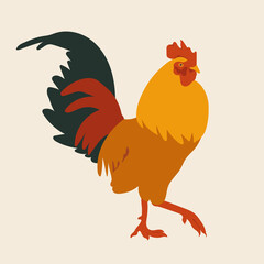 Colorful rooster, vector hand drawn illustration in flat style.