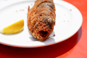Fried and seasoned trout at a fishing festival on a white plate