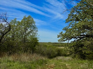 Kansas farmland