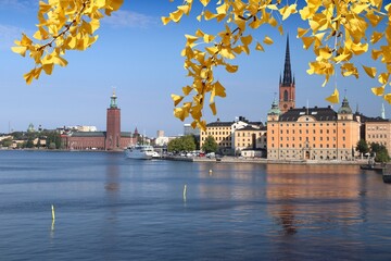 Stockholm city - autumn leaves seasonal view.