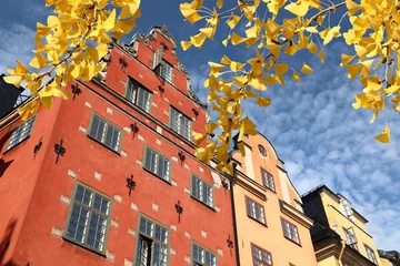 Gordijnen Stockholm, Sweden - autumn leaves seasonal view. © Tupungato