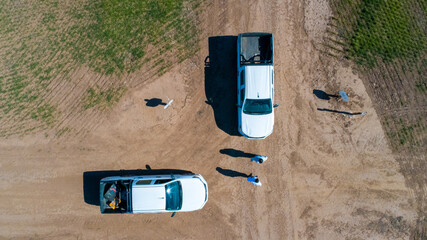 Aerial view of 4x4 pickup truck driving through wheat crops field with silos bags on the road....