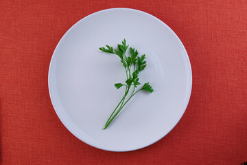 a little coriander on the white plate in top view.