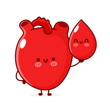 Cute funny human heart organ hold blood drop. Vector flat line doodle cartoon kawaii character illustration. Isolated on white background. Human heart organ, blood cartoon mascot character concept
