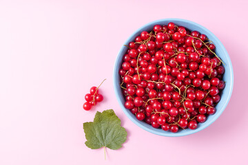 Fresh red currant in wooden bowl on dark table