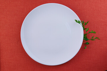 white dish with coriander on the side.in top view.