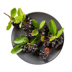 Black chokeberry berries ( Aronia melanocarpa ) on black plate isolated on white. Top view.