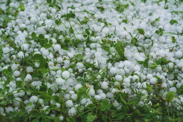 Large hail balls covering green grass lawn after storm