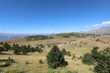 landscape with some green fir trees in the Abruzzo region in central Italy in summer