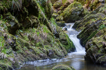 The wild mountain stream of Ravenna in the Black Forest flows over several waterfalls and cascades into the Ravenna Gorge, which is a popular excursion and hiking area in southwestern Germany.