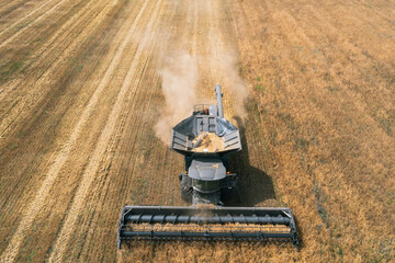 Aerial view on the combines working on the large wheat field.Bunker in a combine harvester with...