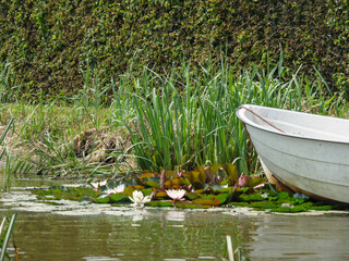 Der Fischerot Ditzum in Ostfriesland