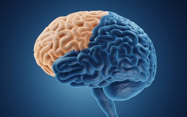 Frontal lobe is important for cognitive functions and control of voluntary movement - obrazy, fototapety, plakaty