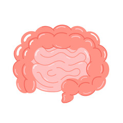 Cute intestine organ. Vector hand drawn cartoon character illustration icon. Isolated on white background. Healthy intestine cartoon icon