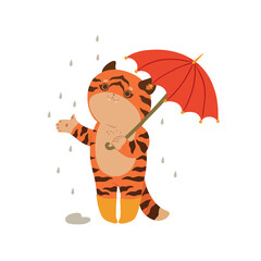 Tiger holding an umbrella isolate on a white background. Vector graphics.