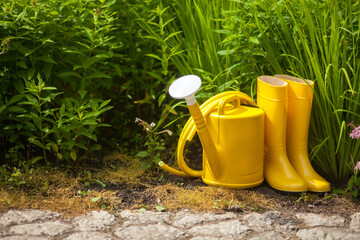 Gardening yellow tools outdoor in garden. Rubber boots, watering can, hose.