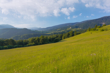 Obraz premium Majestic view of the green mountain hills with forest and grass slopes in warm sunset light. June summer background.