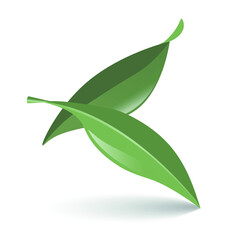 Olives leaves illustration. Two vector olive leaves isolated on white background. 3d and realistic green leaves. Natural leaves design elements. Can be used in graphic designs, logo, emblem or else.