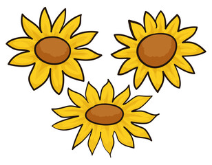 Set with three flowers with yellow petals in cartoon style, Vector illustration