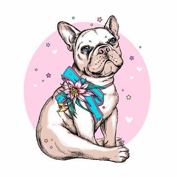 Cute cartoon french bulldog puppy with bow and exotic flower . Summer illustration with dog. Stylish image for printing on any surface