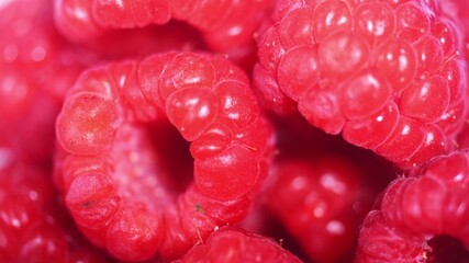 raspberry close-up rotation. macro video of a large raspberry