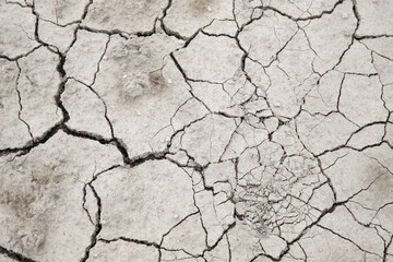 cracked earth texture