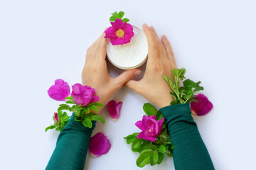 Young female hands are holding jar with white anti-ageing moisturizing cream with dog rose oil essential and vitamin E on background with bright pink dog roses, petals and green leaves