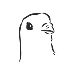 Realistic hand drawn dove. Vector illustration or element for your design.