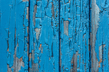 Fototapeta na wymiar Old blue painted wood texture. Vintage authentic painted wooden planks. Wood and oil paint. Wood texture. Wallpaper. Material for designers and decorators.