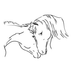 Horses in love line art, tribal. Freehand vector illustration. Horse heart.