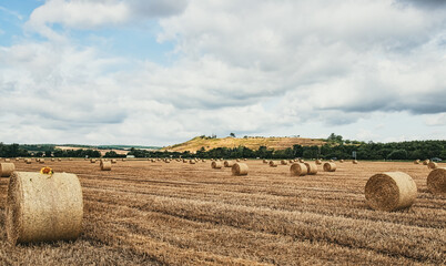 Strohballen auf einem Feld