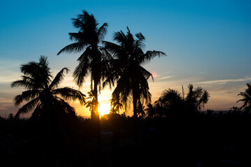 Naklejka premium Tropical Sunset