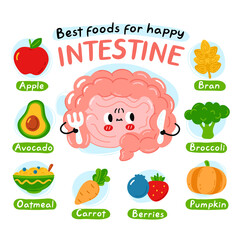Best foods for happy interstine infographic poster. Cute intestine organ character. Vector cartoon kawaii character illustration icon. Isolated on white background. Nutrition, healthy diet concept
