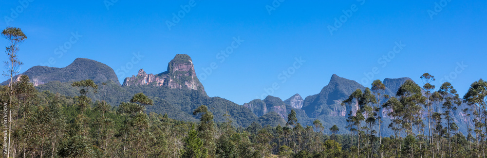 Poster Paisagem com floresta e montanha em Santa Catarina, Brasil.