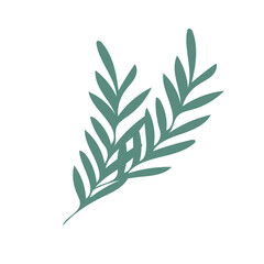 Tropical leaf illustration isolated on white